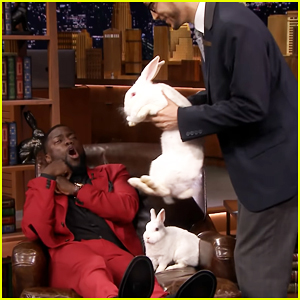 Kevin Hart Hilariously Freaks Out Over Rabbits on 'Jimmy Fallon's Hop Quiz Game - Watch Here!