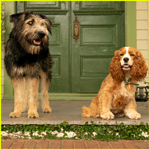 Disney+'s Live-Action 'Lady & the Tramp' Gets New Trailer - Watch!