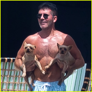 Simon Cowell Holds Dogs While Shirtless at the Pool in Mexico!