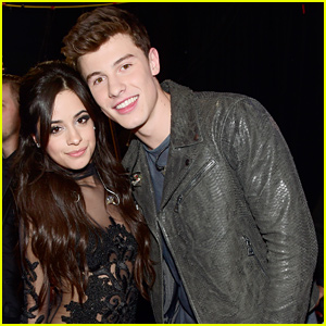 Shawn Mendes Reveals He & Camila Cabello Have Their Own Special Playlist