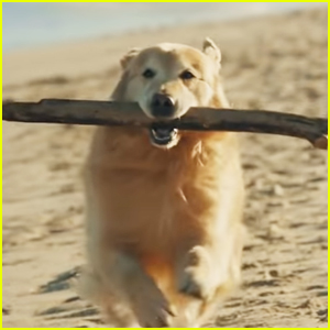 WeatherTech Spends $6 Million on Super Bowl 2020 Ad to Thank