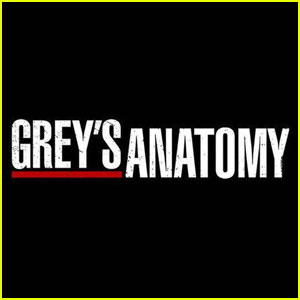 'Grey's Anatomy' Season 16 Cut Short by Pandemic, Final 4 Episodes Will Not Be Filmed