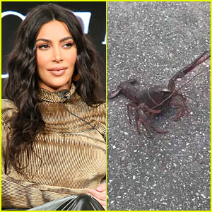 Kim Kardashian Just Found a Lobster Walking Down Her Street