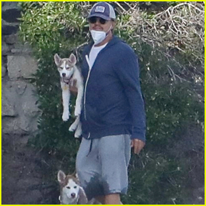 Leonardo DiCaprio Takes Camila Morrone's Foster Dogs Jack & Jill For Walk on The Beach