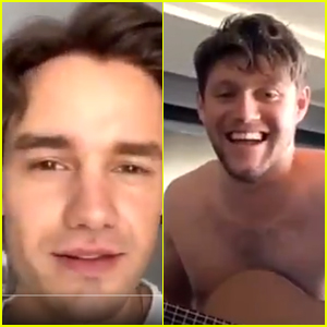 Niall Horan & Liam Payne Talk Quarantine, Haircuts & More During Instagram Live Chat