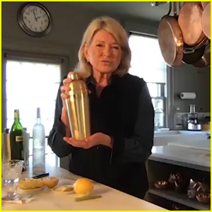 Martha Stewart Teaches Seth Meyers How To Make The Perfect Martini During Quarantine - Watch Here!