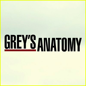 'Grey's Anatomy' Promotes Two Stars to Series Regulars!
