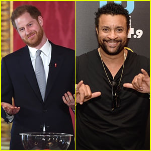 Here's What Prince Harry Did When He First Met Shaggy