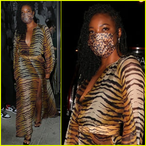 Gabrielle Union Wows in Animal-Print Dress for Night Out with Friends!