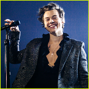 Harry Styles Predicted When You Might Next See Him on Stage & It's Not Good News