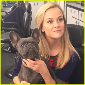 Reese Witherspoon & Family Mourn Death of Beloved Dog Pepper