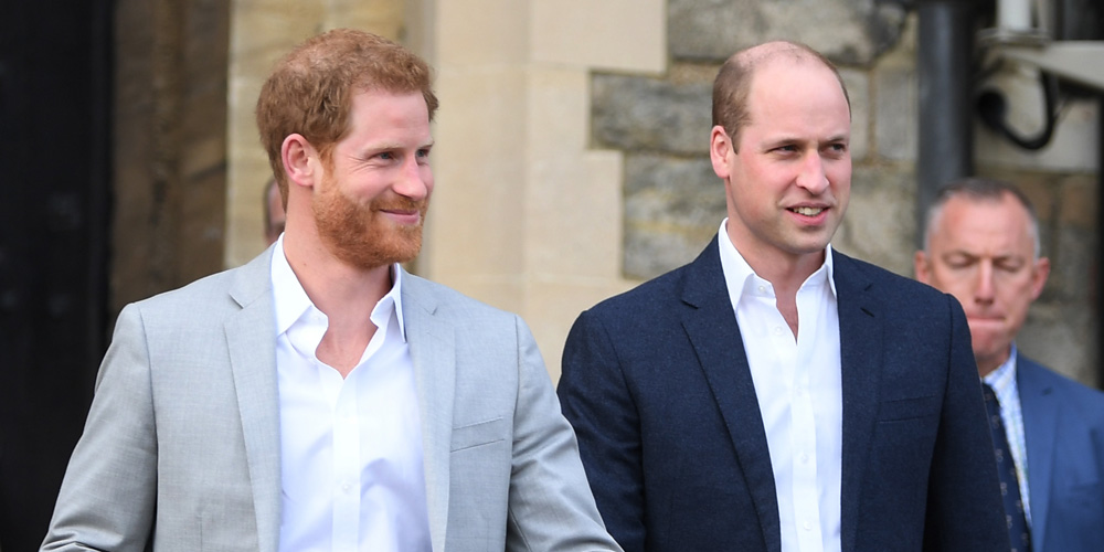 This Is Why Prince Harry Questioned Prince William’s ‘Concern’ for