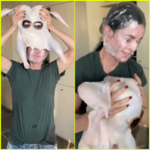 Courteney Cox Reveals Exactly How She Safely Put a Raw Turkey on Her Head for 'Friends' Gag
