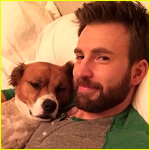 Chris Evans Did Surgery on His Dog's Toy While He Was Actually in Surgery