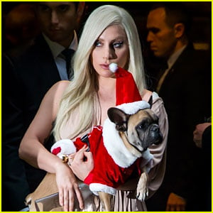 Lady Gaga Is 'Completely Devastated & Sickened' Over What Happened to Her Dogs & Dog Walker