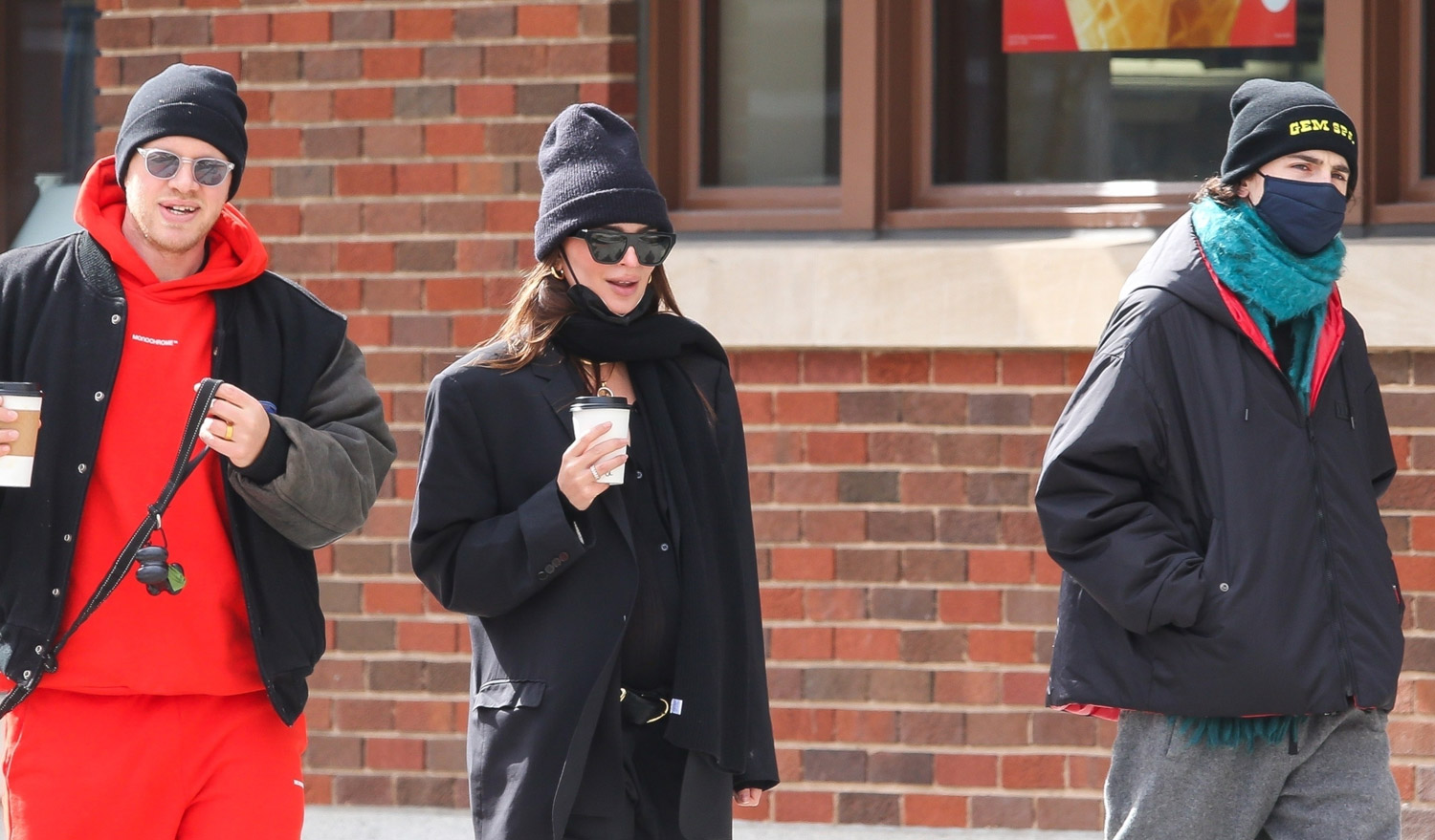 Timothee Chalamet Runs Into Emily Ratajkowski & Her Husband in New York City!