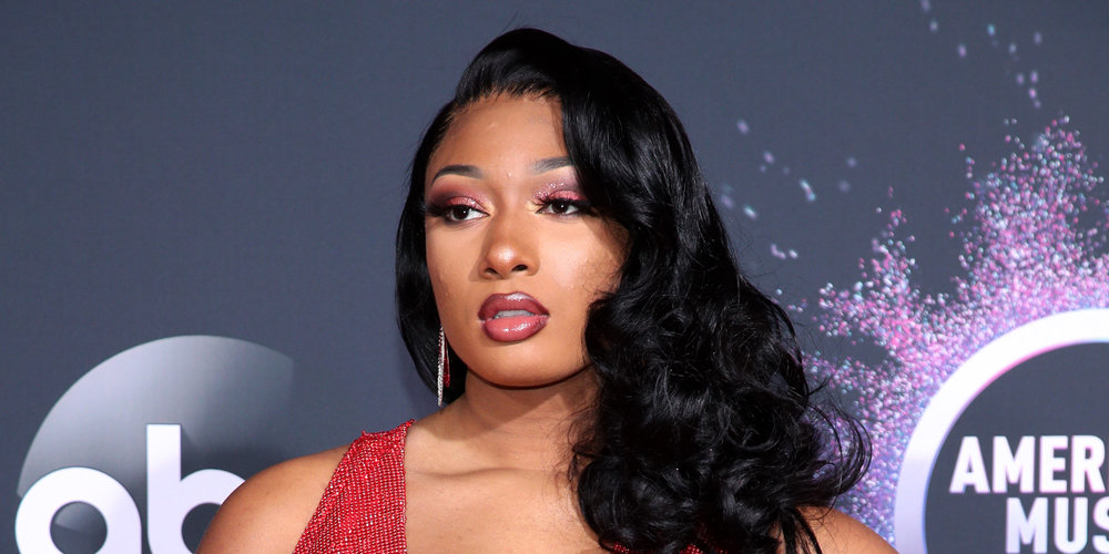 Megan Thee Stallion Teams with Fashion Nova Cares to Donate 50,000(01)
