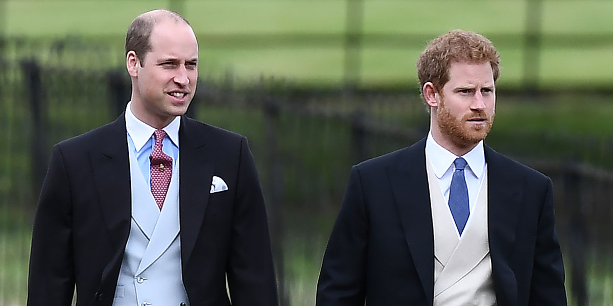 Prince Harry & Prince William’s Family Friend Speaks Out About Their Reunion