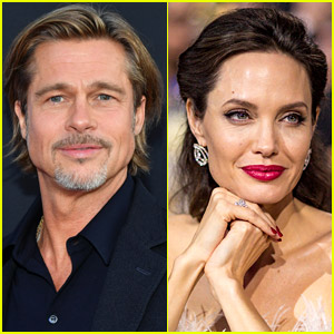 Brad Pitt Angelina Jolie s Custody Decision Revealed Amid Lengthy