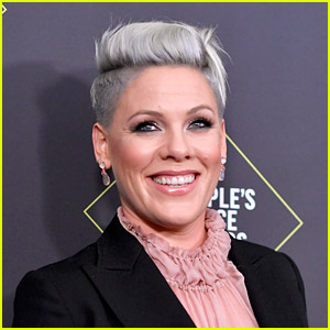 Pink Says Her First Girlfriend Left Her for... Her Brother