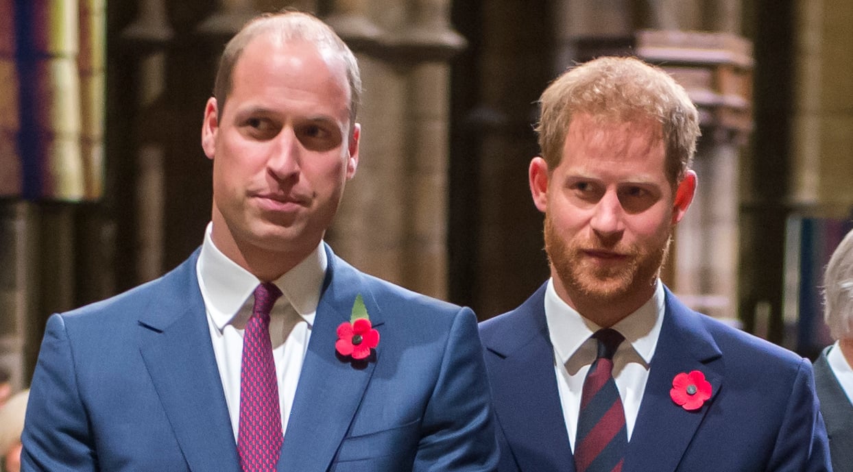 Prince William & Prince Harry Break Silence on Inquiry Into Princess