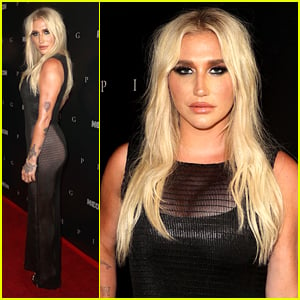 Kesha Wears Sheer Dress To Premiere of 'Pig' in LA