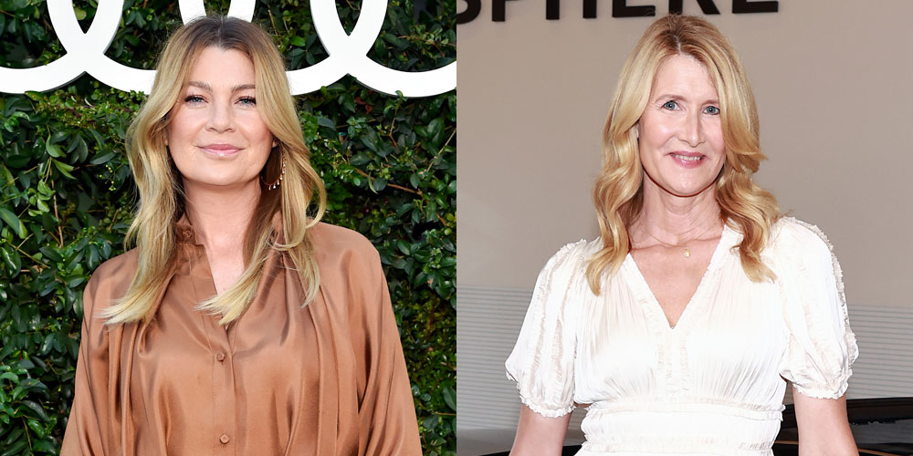 Ellen Pompeo, Laura Dern, & More Step Out for the Audi Design Loft Event in Malibu