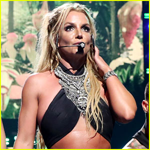 Britney Spears' Dogs Taken Away From Her (Report)