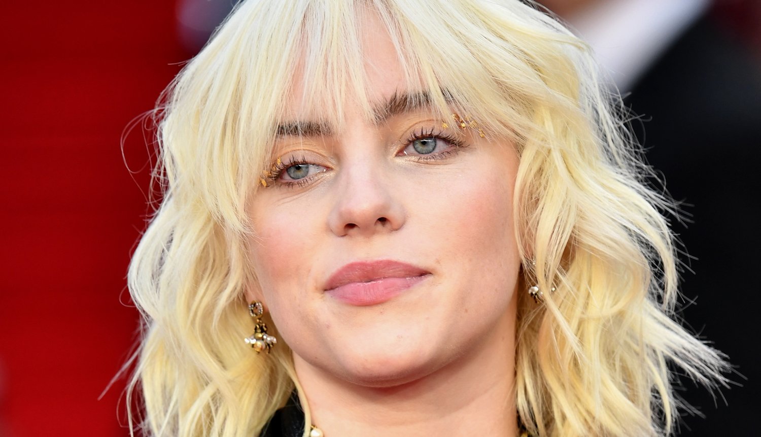 Billie Eilish Asked Fans to Reconsider Eating Turkey on Thanksgiving(00)