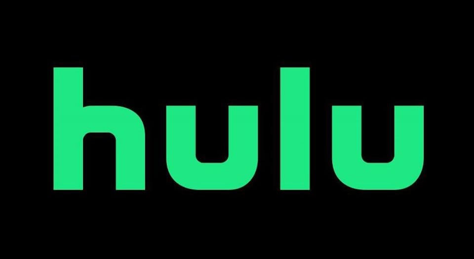 hulu net worth 2017