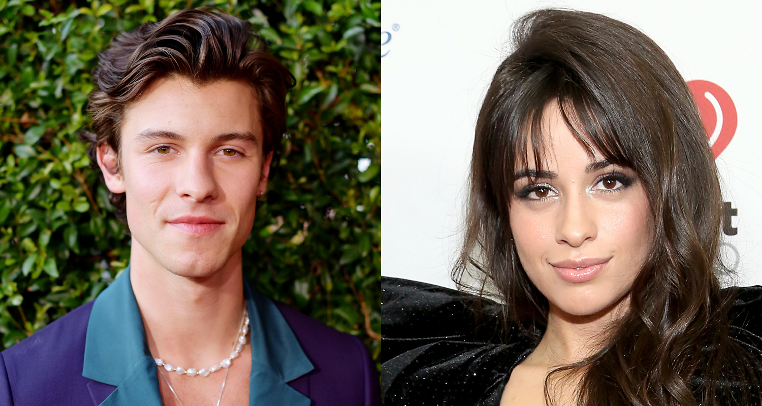 Shawn Mendes & Camila Cabello Met Up in Miami Two Months After Announcing Their Split Camila