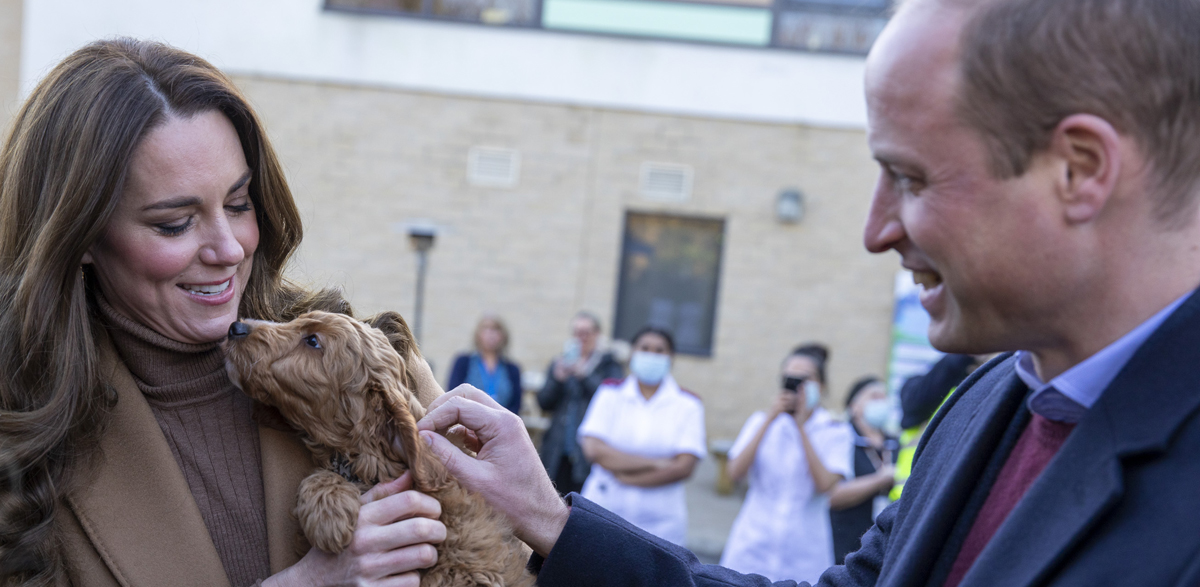 Duchess Kate Middleton & Prince William Meet a Therapy Puppy Named
