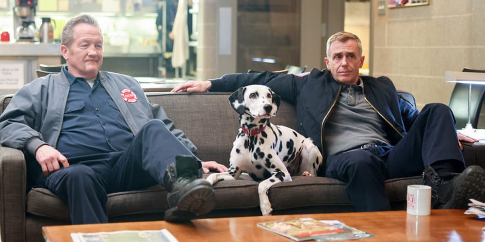Chicago Fire' Dalmatian Sadly Dies Ahead of Season 10 Finale | Chicago Fire,  Television | Celebrity News and Gossip | Entertainment, Photos and Videos |  Just Jared