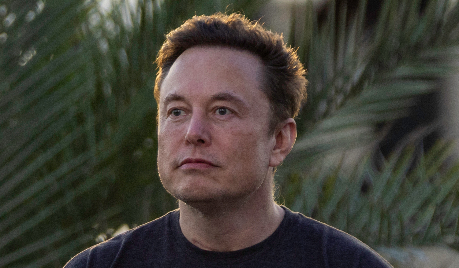 Elon Musk Officially Closes Twitter Deal & Fires Three Top Execs Elon