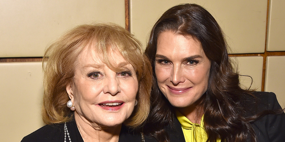Brooke Shields ‘Felt So Taken Advantage Of’ During Barbara Walters(02)