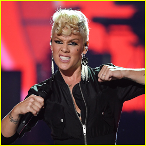 Pink Announces 'Summer Carnival' 2023 Stadium Tour - See the Dates & Ticket Info!