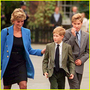 Prince Harry Reveals What His Mom Princess Diana Would Think of His Rift with His Brother