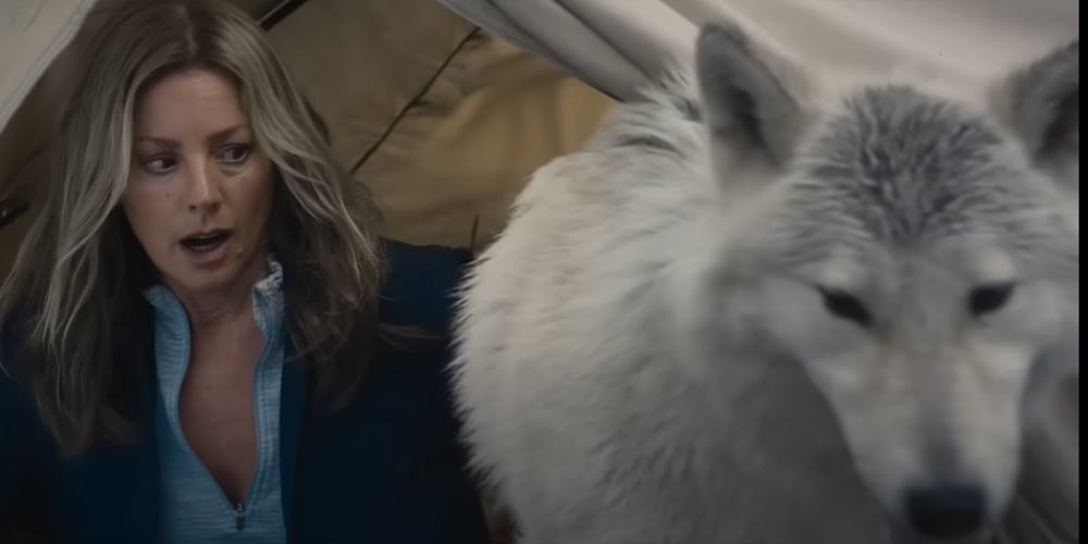 Busch Beer Super Bowl Commercial 2023: Sarah McLachlan Does Her ASPCA Pitch With a Wolf!