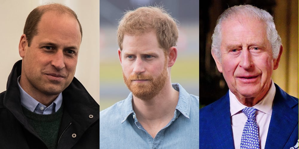 Does Prince Harry Speak to Prince William & King Charles? New Update