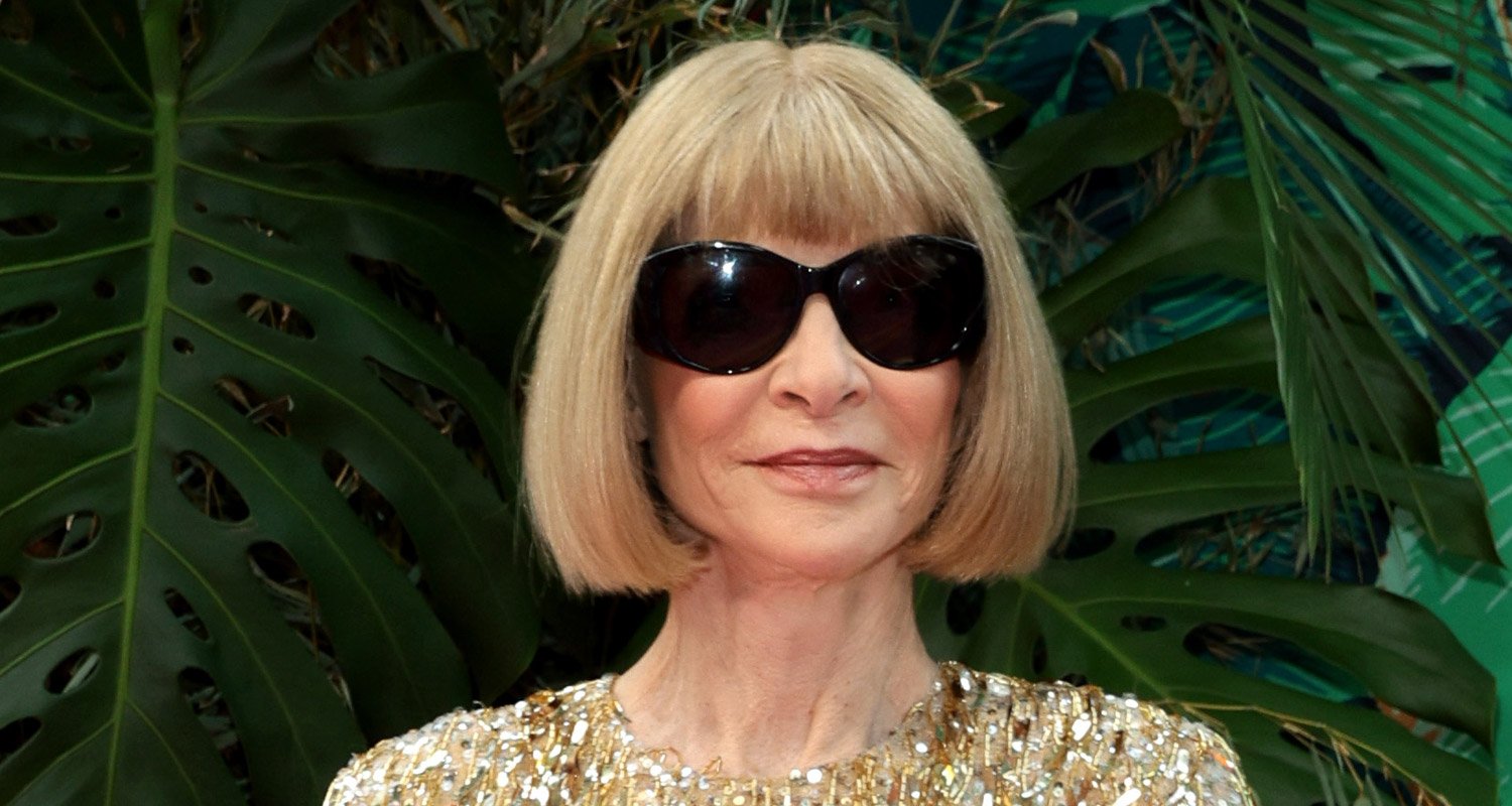 Anna Wintour Reveals The Unusual Nickname Her Grandkids Call Her Anna