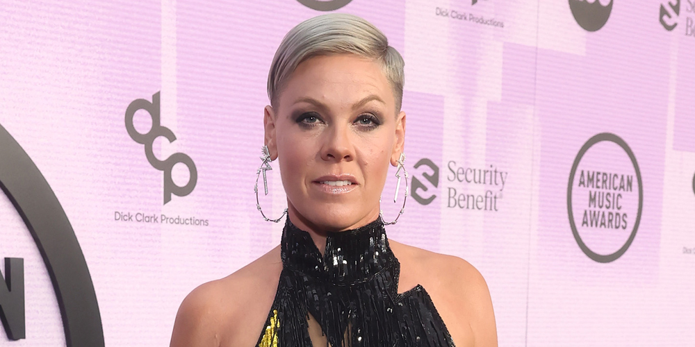 Pink Postpones Texas Concert Hours Before She’s Supposed to Take Stage