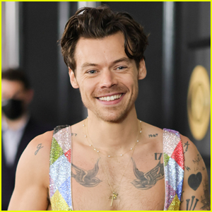 Harry Styles Was In the Running to Star in 7 Movies, but the Roles Went to Different Actors