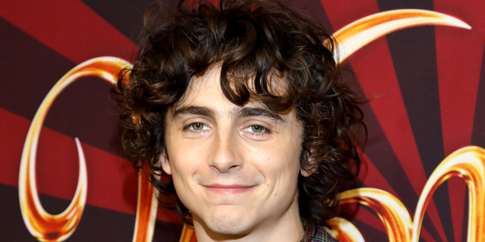 Kylie christmas concert 2025