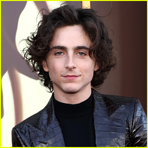Timothee Chalamet Reveals if He'd Want to Star in a 'Wonka' Sequel