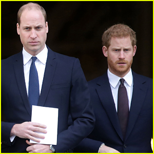 Will Prince Harry See Prince William During Visit with King Charles? Answer Revealed