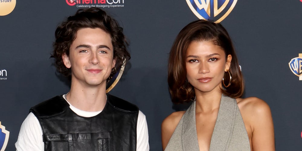 Zendaya Recalls Helping Timothee Chalamet Decorate His Apartment