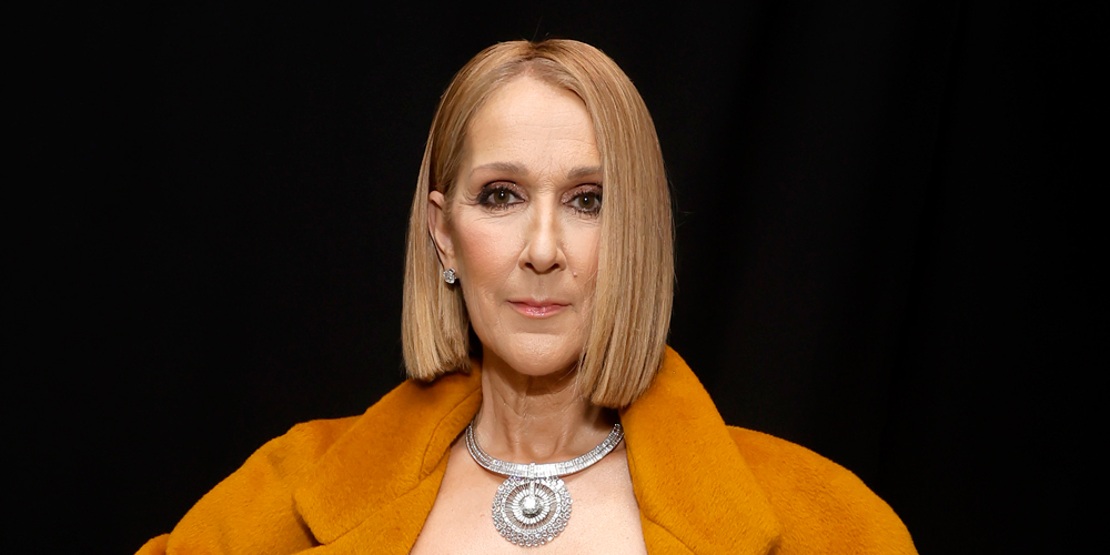 Celine Dion Makes Rare Appearance to Cheer on Bruins With Twin Sons – See a Video With the Team!