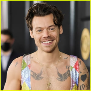 Harry Styles Was Up for Roles in 8 Movies but Didn't Book Them (Including 2 That Premiered in 2024!)