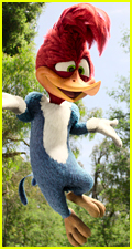 Photo of Private: Netflix Releases Trailer For New Woody Woodpecker Movie