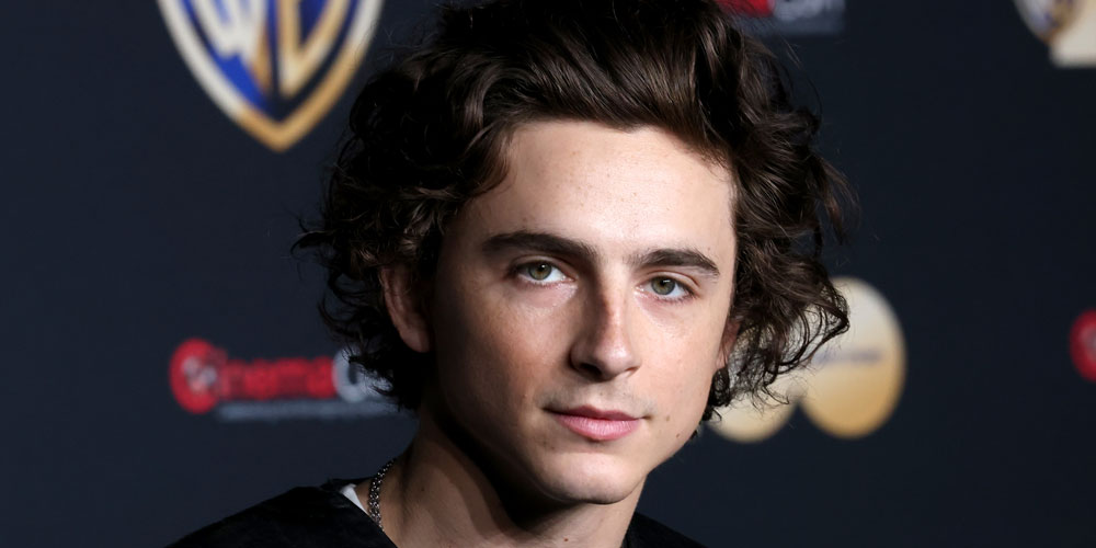Timothee Chalamet Talks Preparing to Play Bob Dylan for 5 Years ‘That